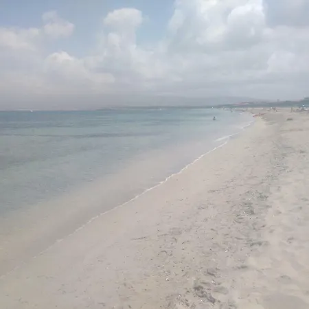 Alojamento de Turismo Rural La Mimosa