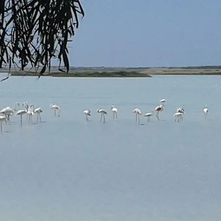 Alloggio per agriturismo La Mimosa