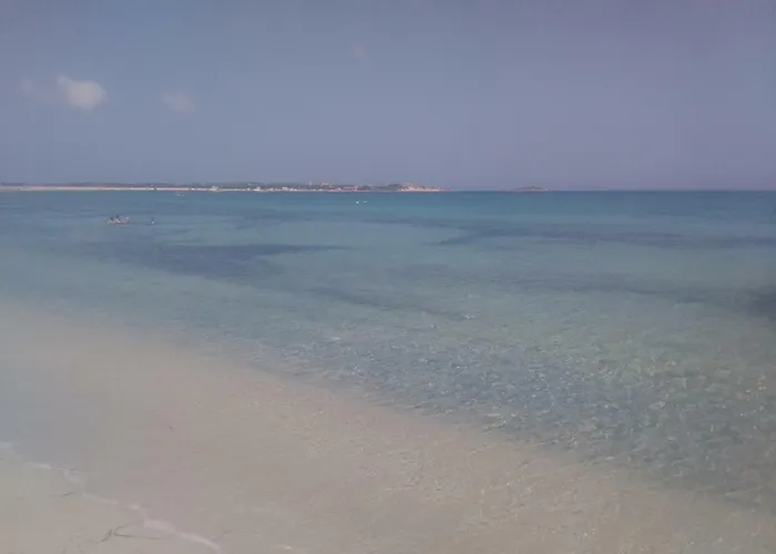 La Mimosa * Putzu Idu